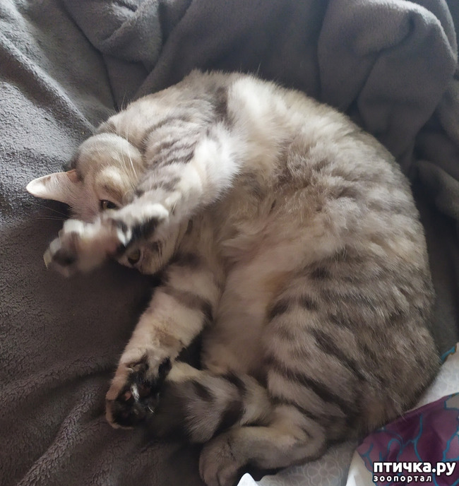 ���� 12: ������� �� �����.