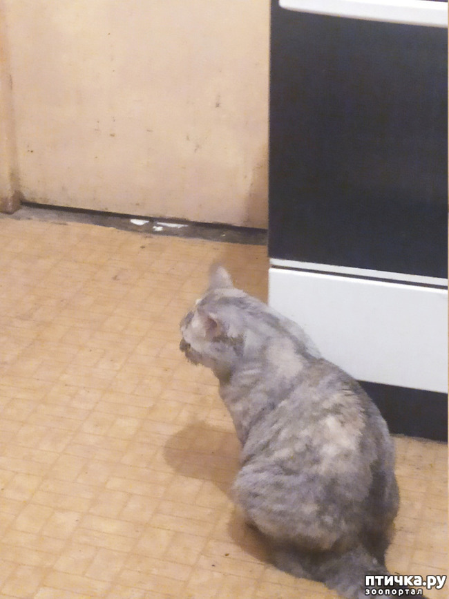 ���� 13: ������� �� �����.