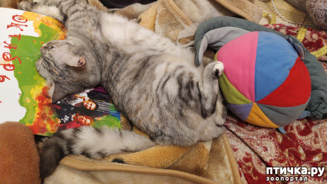 ���� 14: ������� �� �����.