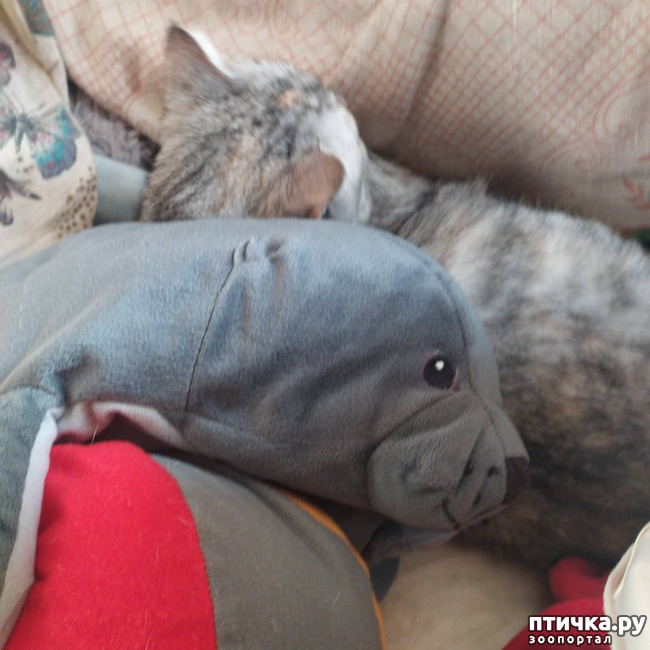 ���� 15: ������� �� �����.