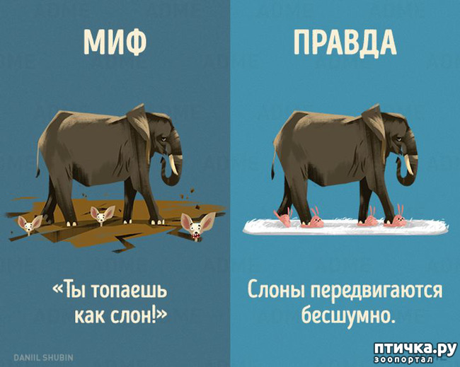 ���� 2: ������������ ����. ����� 2