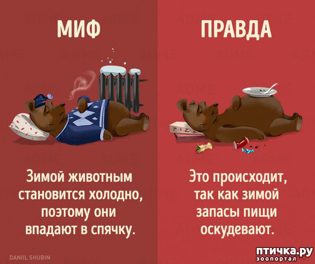 ���� 4: ������������ ����. ����� 2