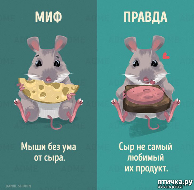 ���� 3: ������������ ����. ����� 2