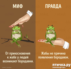 ����: ������������ ����. ����� 2