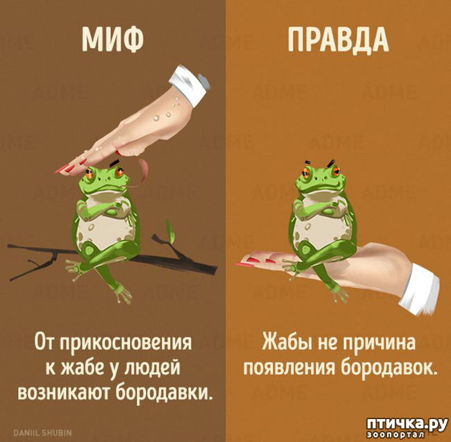 ���� 1: ������������ ����. ����� 2