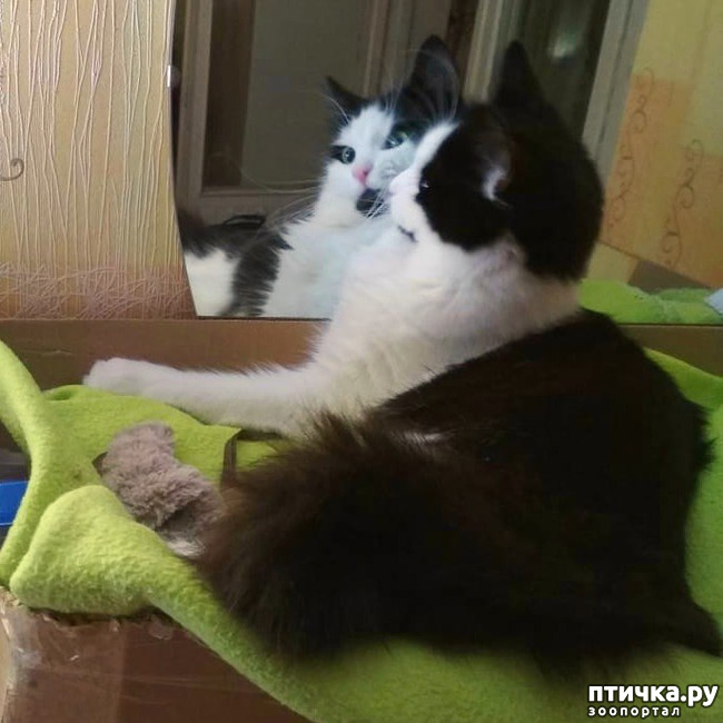 ���� 1: ���� ���, ���������...