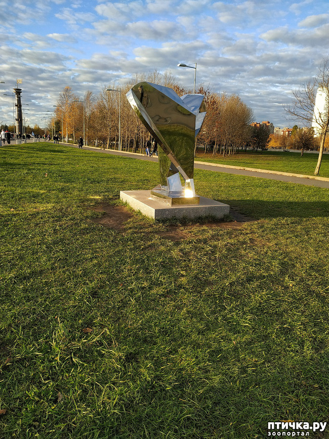 ���� 6: ������� �������