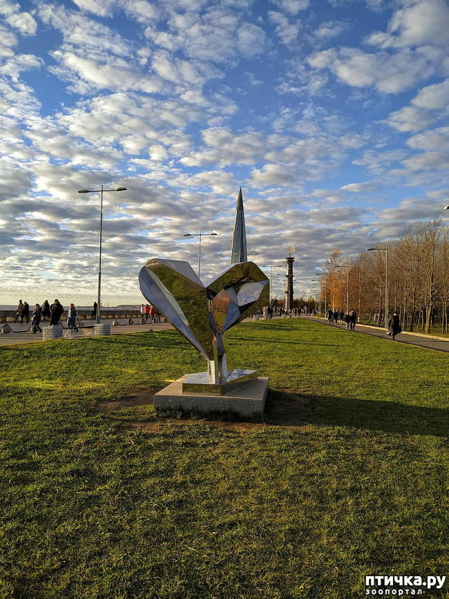 ���� 7: ������� �������