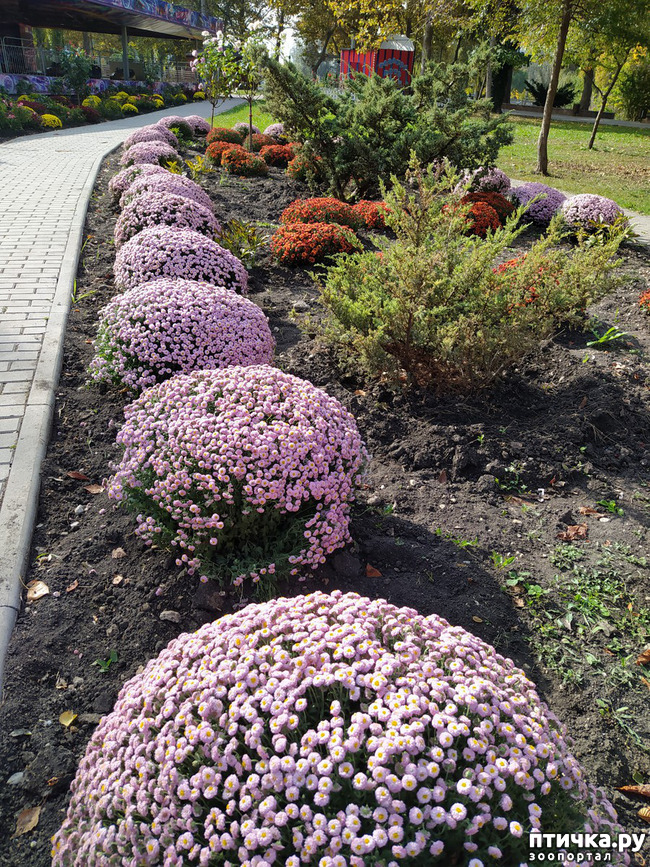 ���� 27: ������ �����