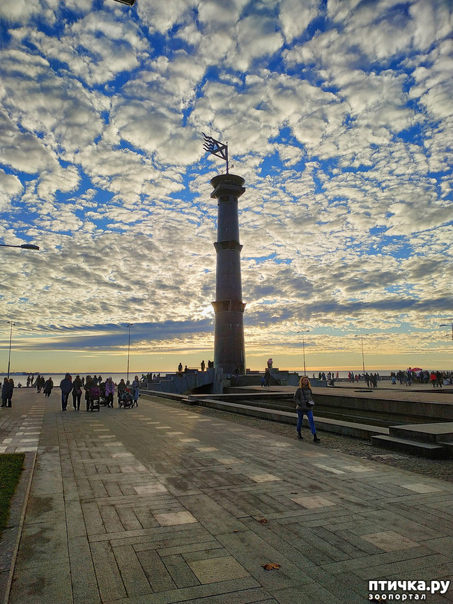 ���� 8: ������� �������