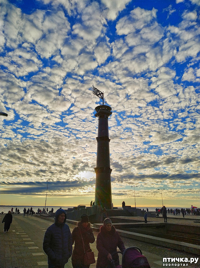 ���� 9: ������� �������