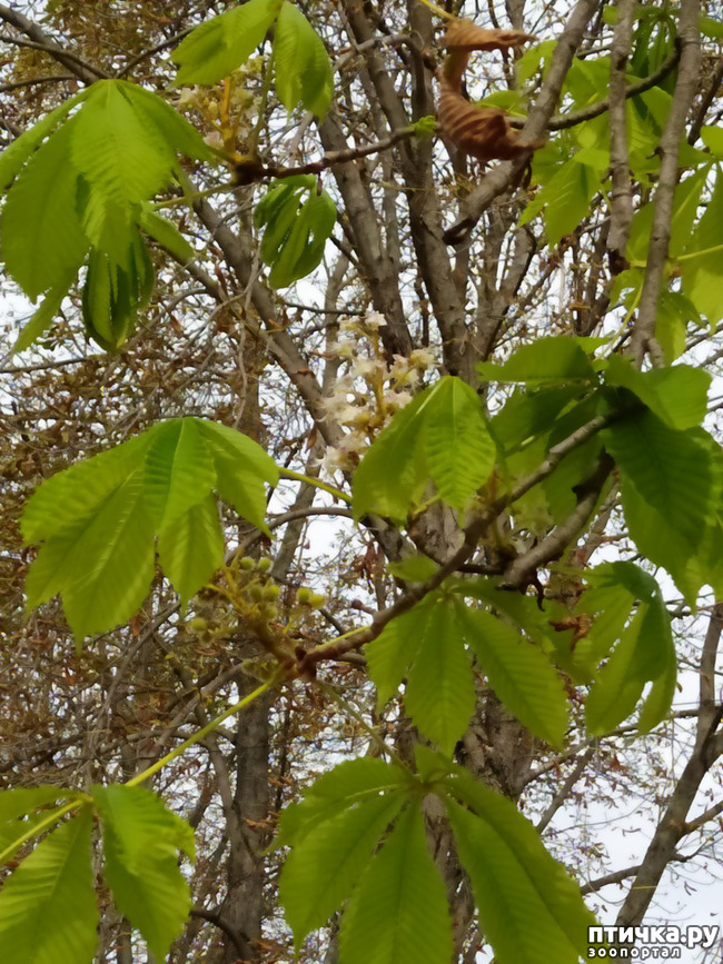 ���� 36: ������ �����