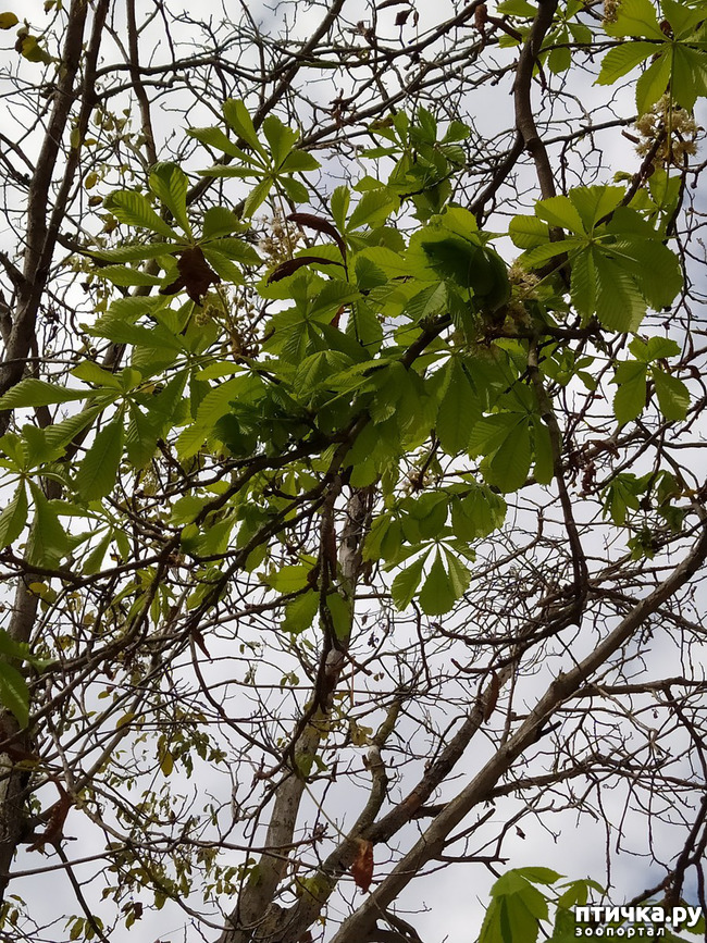 ���� 37: ������ �����