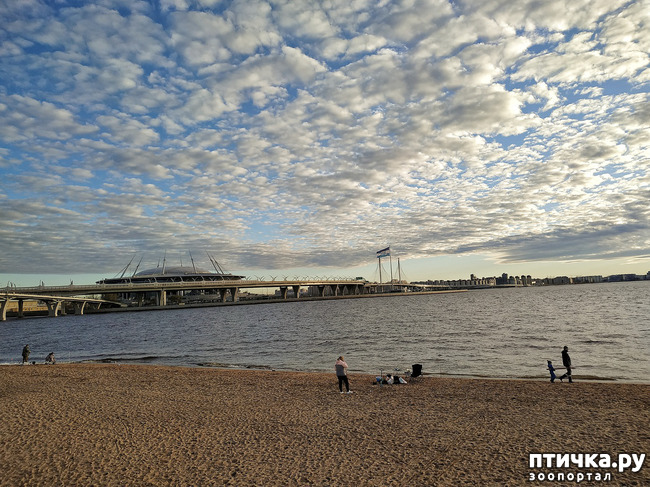 ���� 10: ������� �������