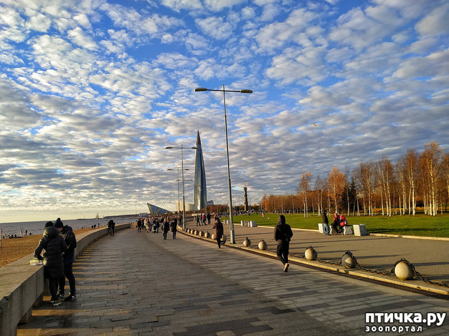 ���� 11: ������� �������