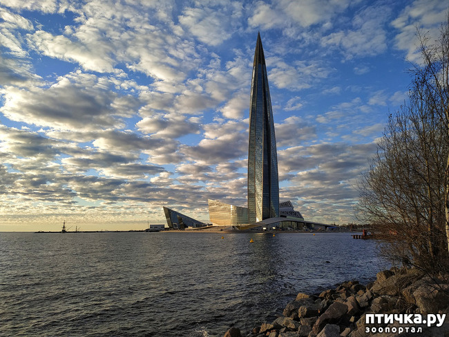 ���� 12: ������� �������