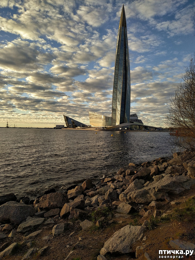 ���� 13: ������� �������