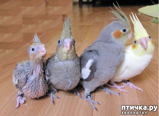 ���� 1: �������� ������ ��Ш�