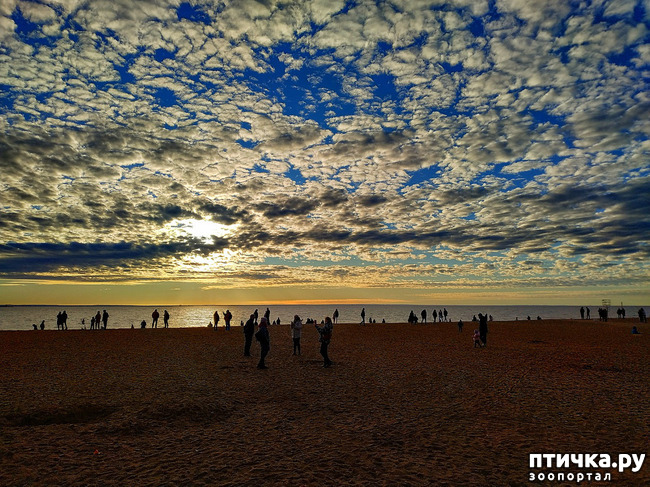 ���� 14: ������� �������