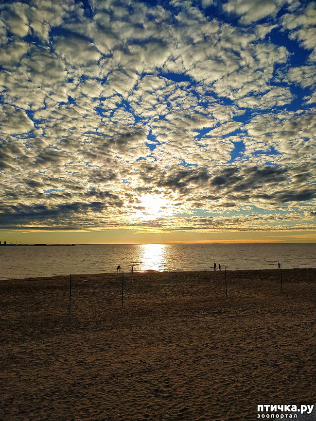 ���� 15: ������� �������