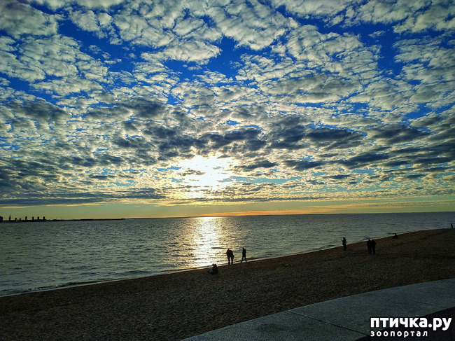 ���� 16: ������� �������