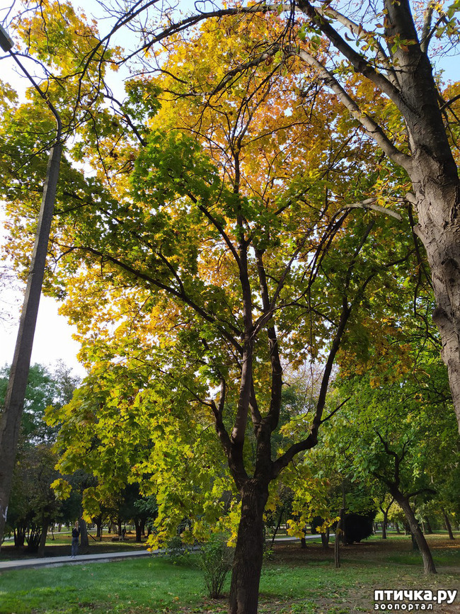 ���� 2: ������ �����