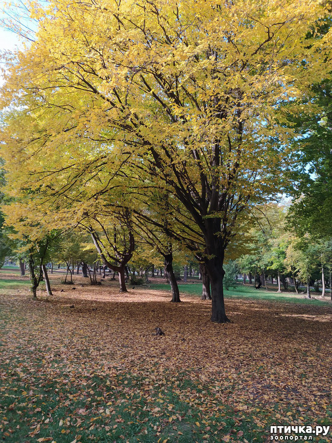 ���� 3: ������ �����