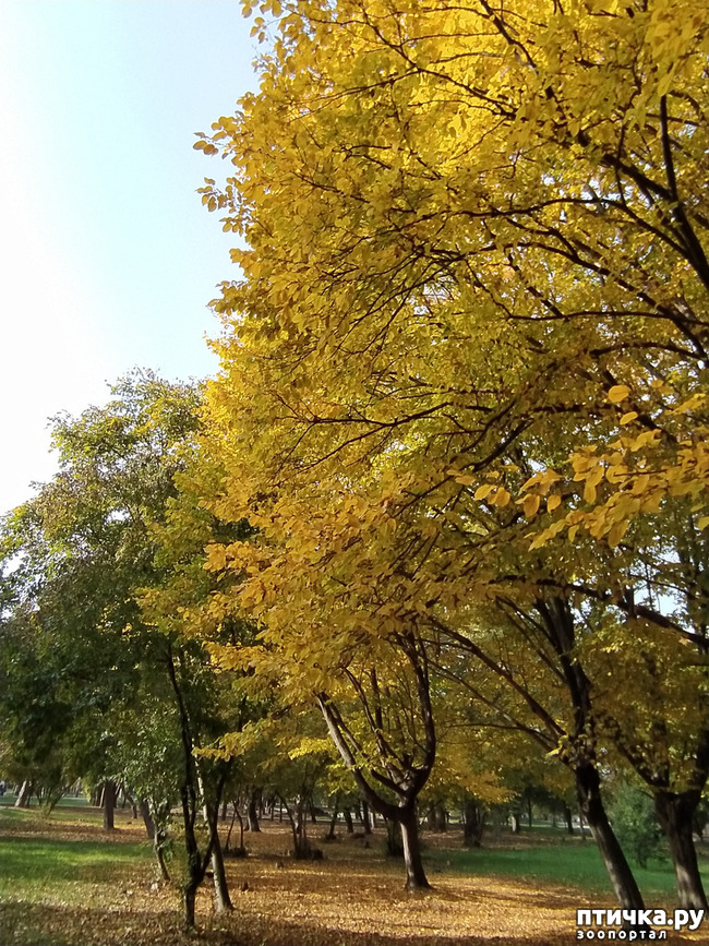 ���� 4: ������ �����