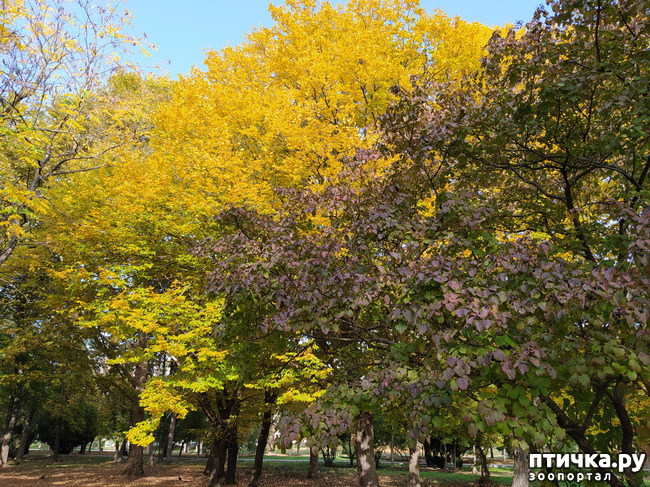 ���� 5: ������ �����