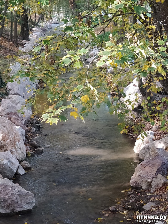 ���� 6: ������ �����