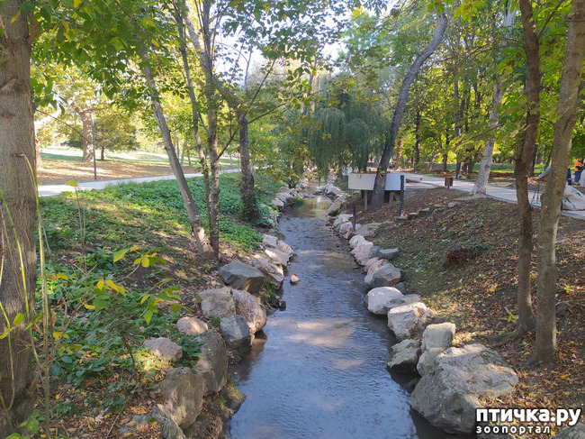 ���� 7: ������ �����