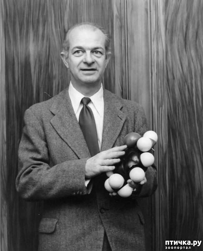 ���� 2: �������� � ����. ��� 1. �������, �������� � �����. �����1, ����������� ������.