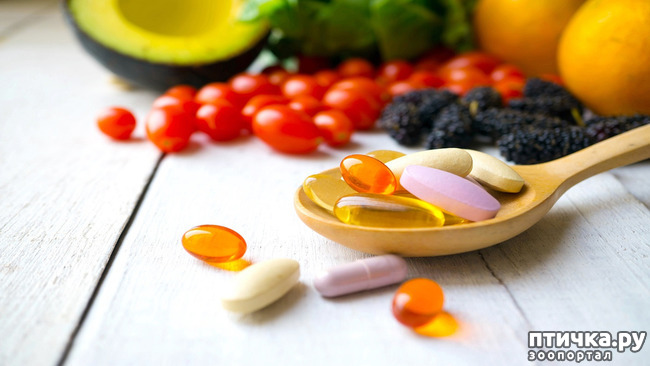 ���� 4: �������� � ����. ��� 1. �������, �������� � �����. �����1, ����������� ������.