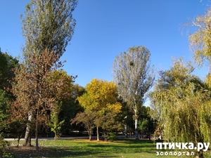 ����: ������ �����