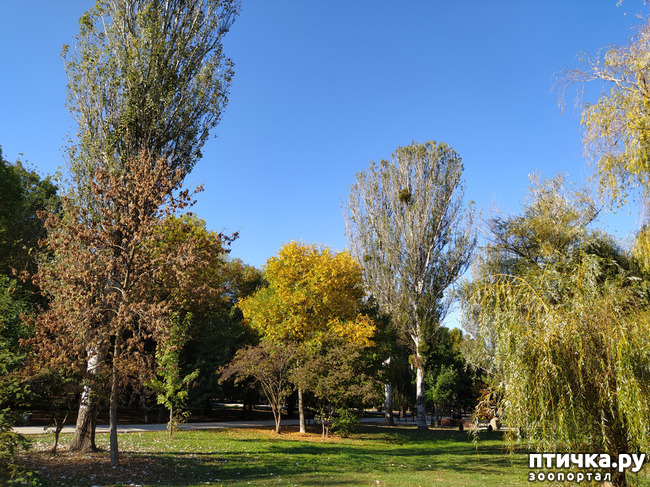 ���� 1: ������ �����