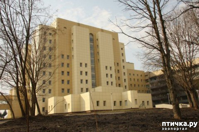 ���� 5: �������� � ����. ��� 1. �������, �������� � �����. �����1, ����������� ������.