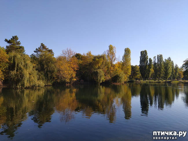 ���� 8: ������ �����