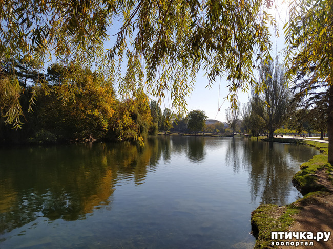 ���� 9: ������ �����