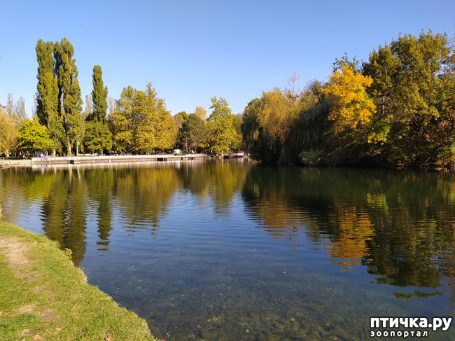 ���� 10: ������ �����