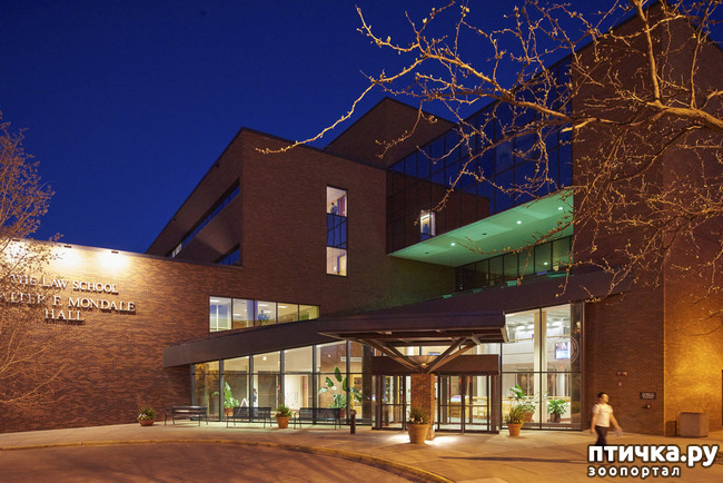 ���� 6: �������� � ����. ��� 1. �������, �������� � �����. �����1, ����������� ������.