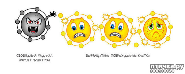 ���� 7: �������� � ����. ��� 1. �������, �������� � �����. �����1, ����������� ������.