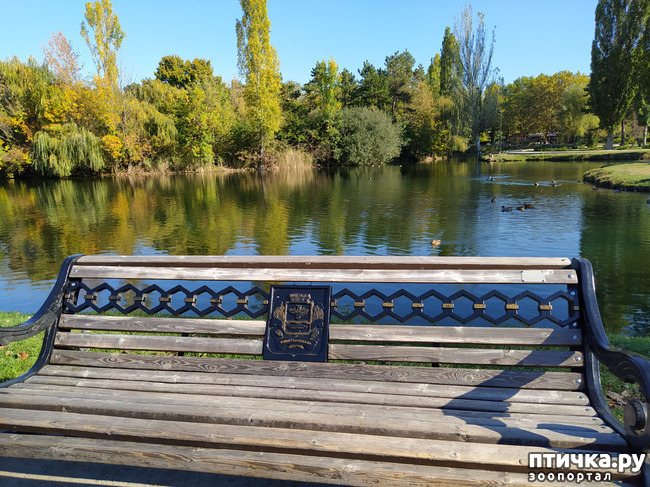 ���� 11: ������ �����