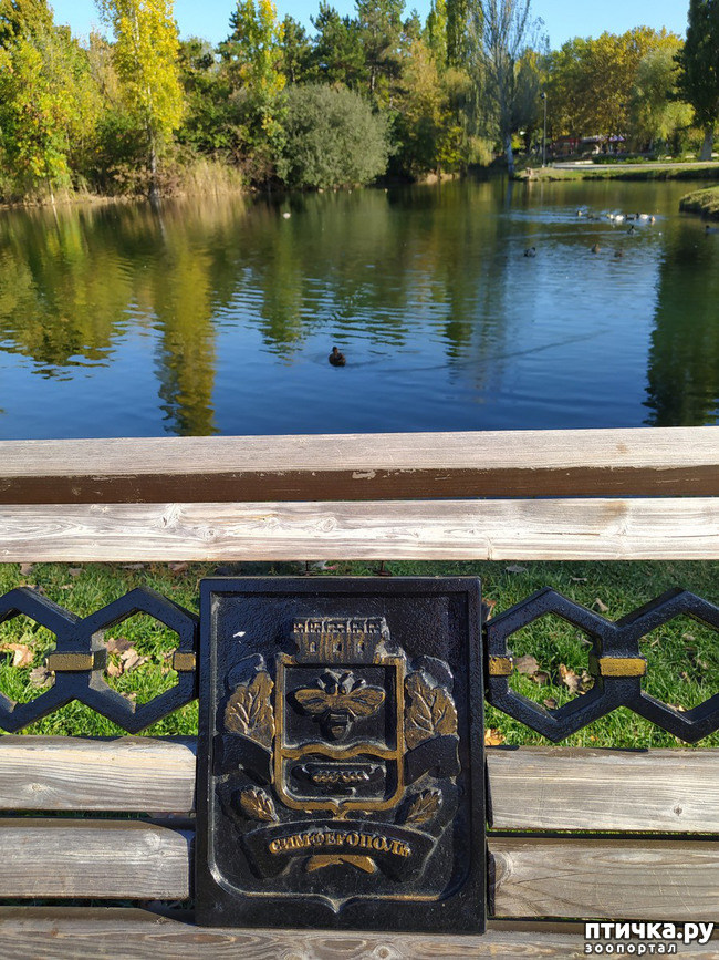 ���� 12: ������ �����