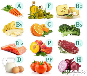 ����: �������� � ����. ��� 1. �������, �������� � �����. �����1, ����������� ������.