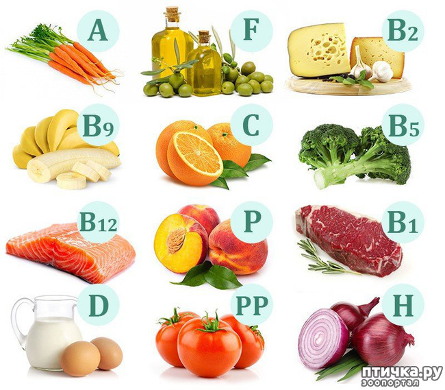 ���� 1: �������� � ����. ��� 1. �������, �������� � �����. �����1, ����������� ������.