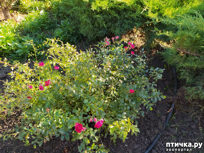 ���� 14: ������ �����