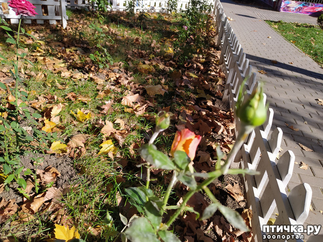 ���� 15: ������ �����