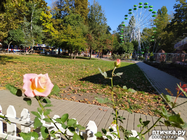 ���� 13: ������ �����