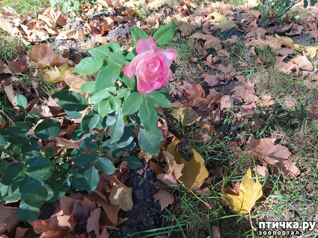 ���� 16: ������ �����