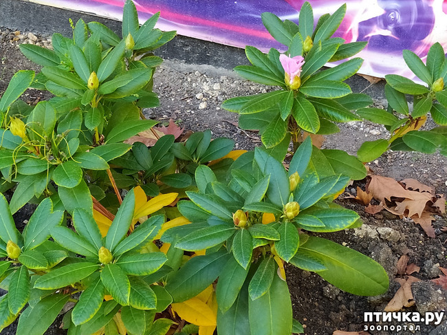 ���� 17: ������ �����